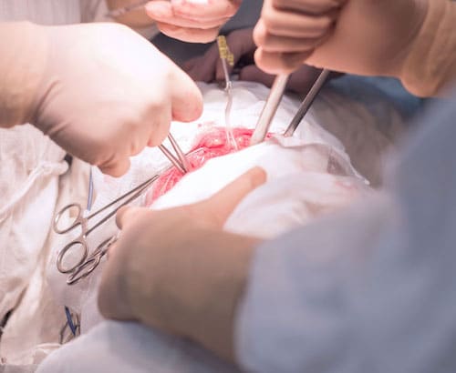 surgical-supply-slr-medical-consulting2